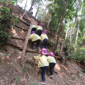 里山サマーキャンプ（５歳児）