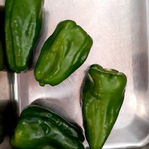 食育《ピーマンの種取り》