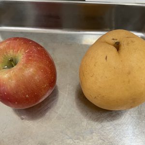 食育《食べ物の食べ比べをしよう》