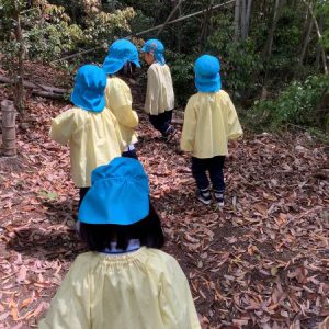 里山活動（たけのこ掘り）