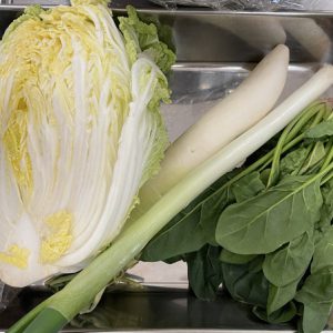 食育《冬野菜に触れてみよう》