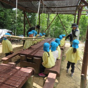 里山活動（流しそうめん、４・５歳児）
