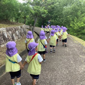 令和６年度　春の遠足（２・３歳児）