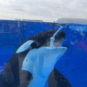 秋の遠足　神戸須磨シーワールド