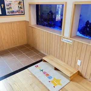 ありがとうございます！！