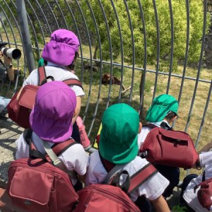 春の遠足